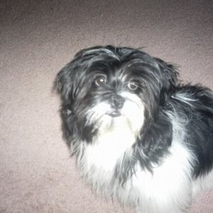 Meet your Posher, Denise